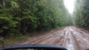 Лесной патруль🌲🌳🌲