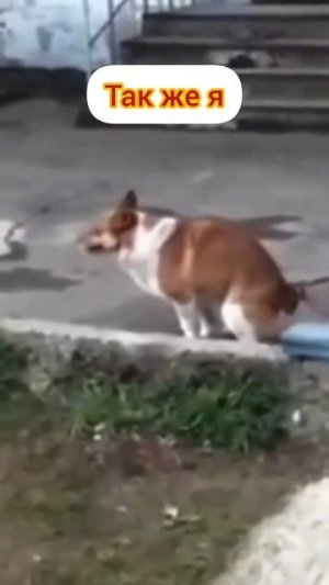 Что я чувствую когда пью безалкогольное пиво