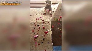 подборка прикольных видео