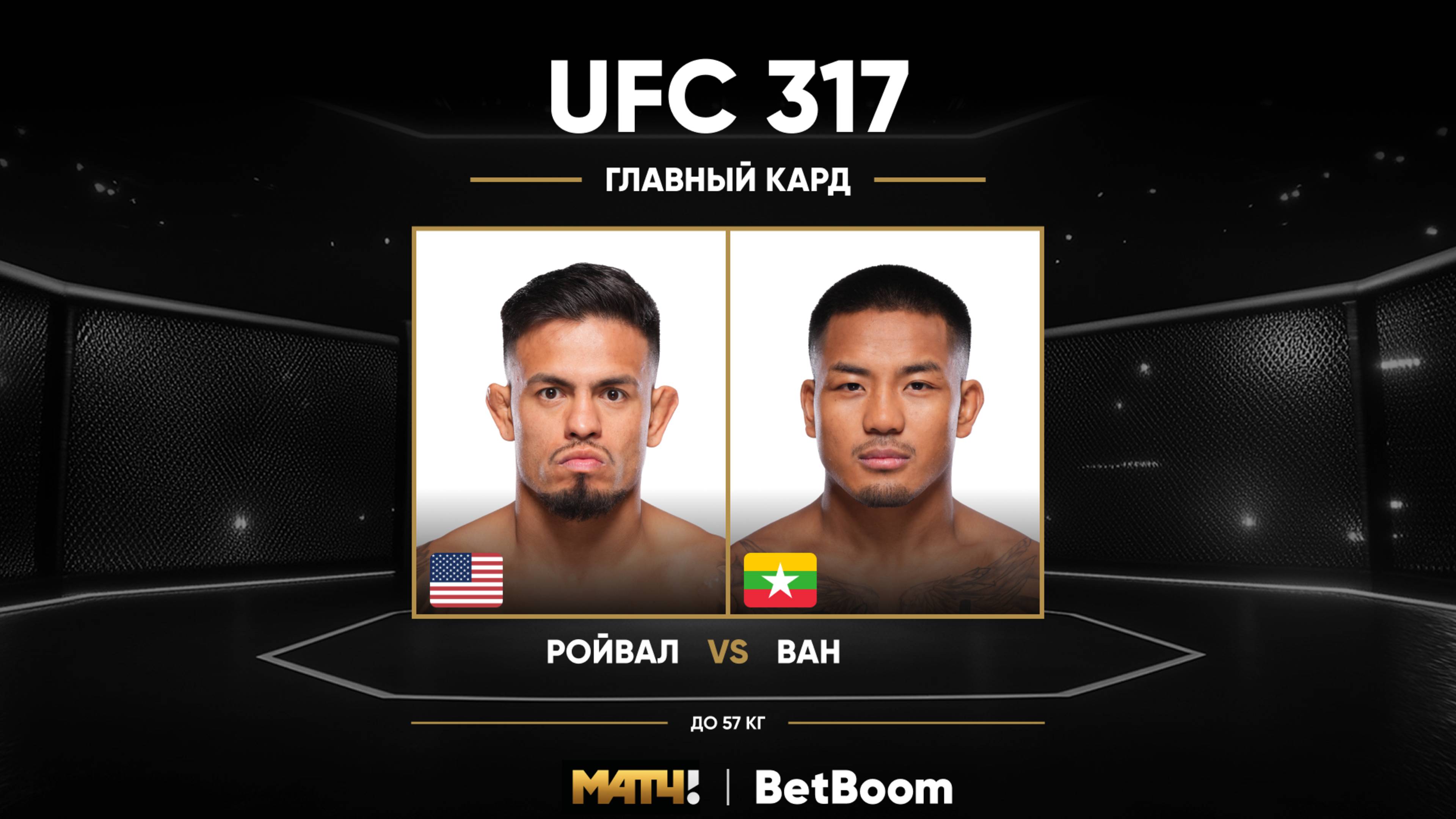 Брэндон Ройвал против Джошуа Вана (видео). UFC 317