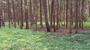 Первый велопоход 2 (27.06.25)