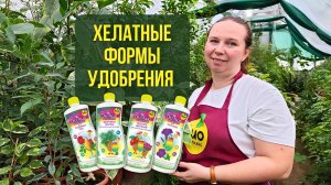 Какие удобрения лучше всего усваиваются растениями?