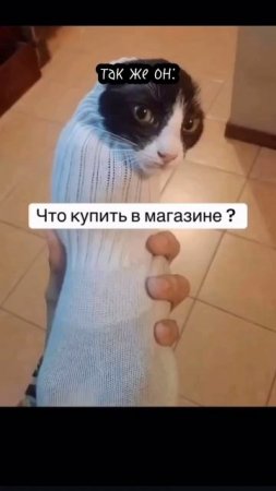 scene_output.mp4
