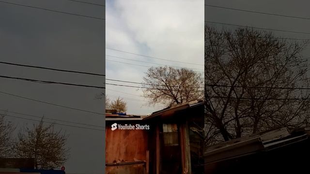 сделай сам