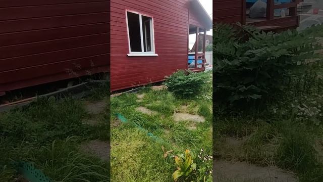 33724.mp4