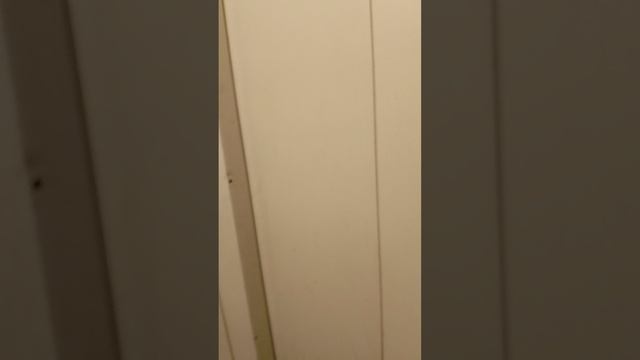 лифт КМЗ 1999 года