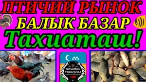 30-06-2025 ПТИЧИЙ РЫНОК 🐓