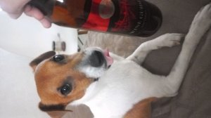 порно