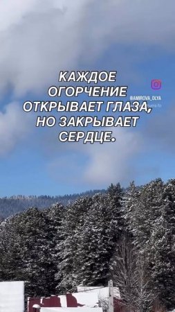 Мудрые слова