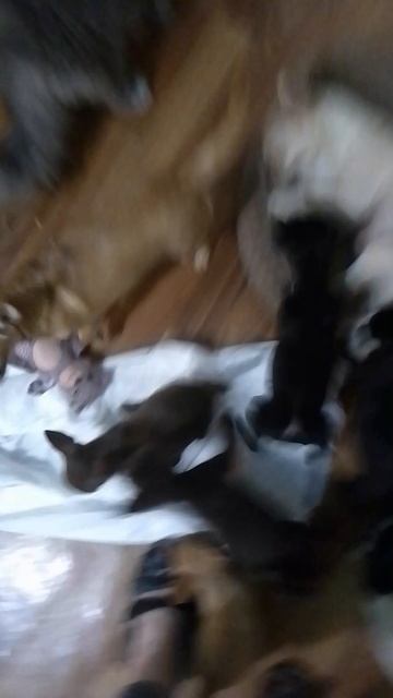 VID_20250629_084642 смотреть онлайн