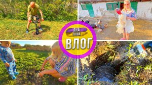 Семья на хуторе работает от рассвета до заката! Индюк может пойти в суп! Козы зашли не в ту дверь.
