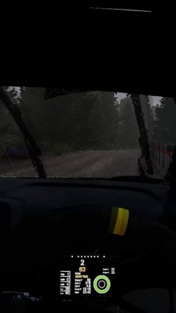 WRC 9