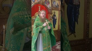 Проповедь 29.06.25 Священник Александр Государкин