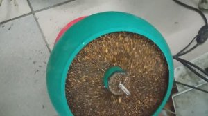 Мастерская Георгия (Нижний Тагил)