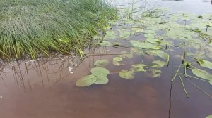 Съездили на рыбалку
