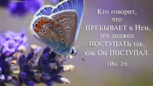 Благодарю Тебя я,Господь из Назарета