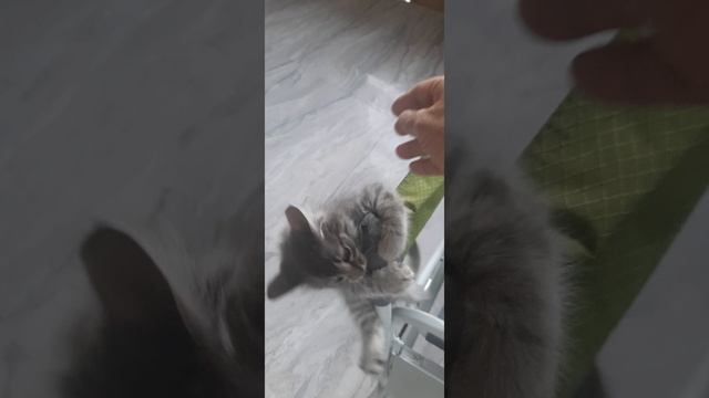 Счастье живет рядом с нами