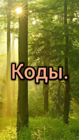 Код kaching