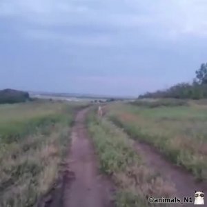 Подпишись 👉 https://vk.com/ykrasheniy_iz_kamny