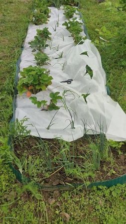Говорят, дуракам пол работы не показывают...