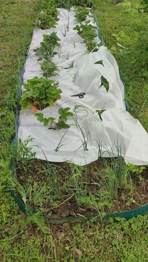 Говорят, дуракам пол работы не показывают...