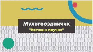 Котики и паучки