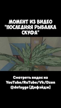 ПОСЛЕДНЯЯ РЫБАЛКА (9)