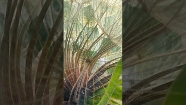 1000075853.mp4