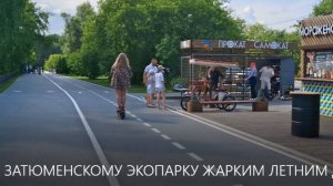ПО ЗАТЮМЕНСКОМУ ЭКОПАРКУ ЖАРКИМ ЛЕТНИМ ДНЁМ.
