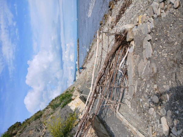 стрим с Чёрного моря в Архипо -Осиповки