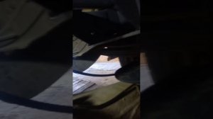 пневма на газель