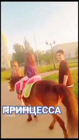 ПРИНЦЕССА