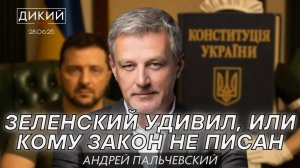 СЛУЖАНКА ВЛАСТИ? АНДРЕЙ ПАЛЬЧЕВСКИЙ ДЛЯ ДИКИЙ LIVE