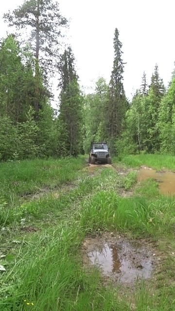 На вездеходе по тайге