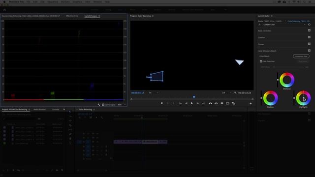 20. Color Balancing in Premiere Pro