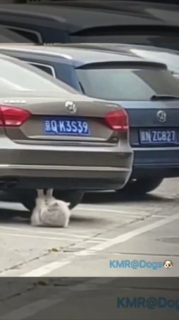 Тренировка перед мартовскими боями😎😂