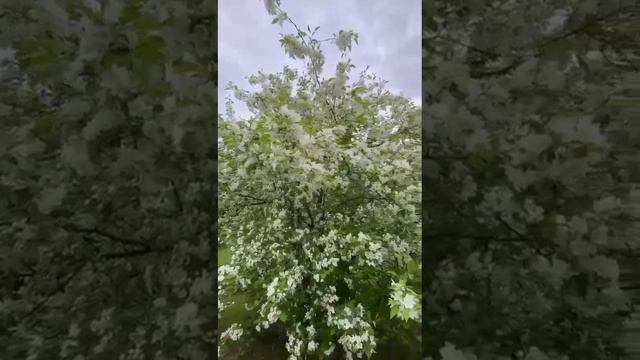 Они рядом с нами