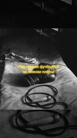 Спорт