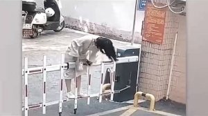 Всячинки