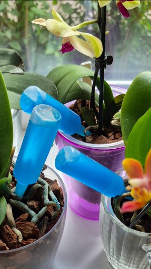 Распаковка YOKUDO Удобрение