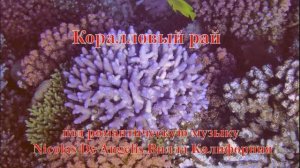 6. Коралл Пальцевидная акропора под романтическую музыку Nicolas De Angelis Вилла Калифорния