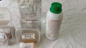 Обработка винограда после цветения и дождей