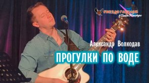 "ПРОГУЛКИ ПО ВОДЕ" Александр Волкодав - "Гнездо глухаря" Питер 28.06.2025 #александрволкодав #голос