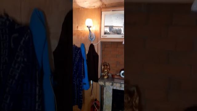сделай сам