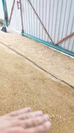 🏡 Второй день укладки! Благоустройство двора. Кладём плитку сами. Переезд на Юг. Саликовы 🌴