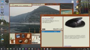 рр3 Мидия на Заливе Александры мидия