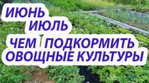 АЗОТНЫЕ ПОДКОРМКИ в ИЮНЕ–ИЮЛЕ! Что можно удобрять, а что — НЕЛЬЗЯ? Ошибки на огороде