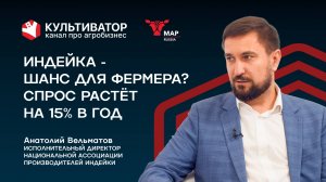 Индейка порвёт рынок? Как Россия построила отрасль с нуля | Анатолий Вельматов | НАПИ