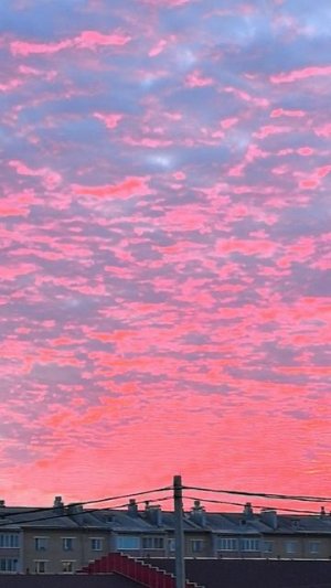 О, эти закаты 🌅