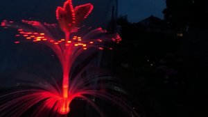 Ночная красота... Собираю мужа в командировку...